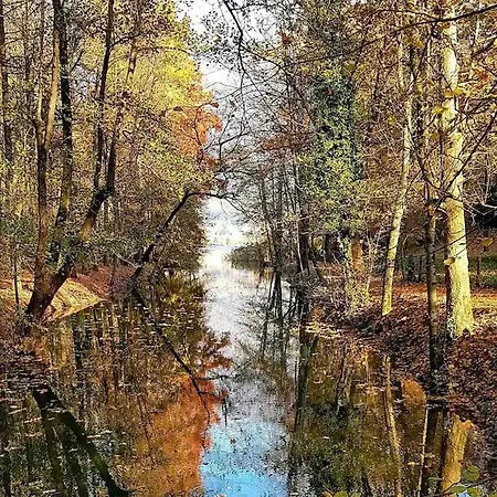 דירה Travel Nest *